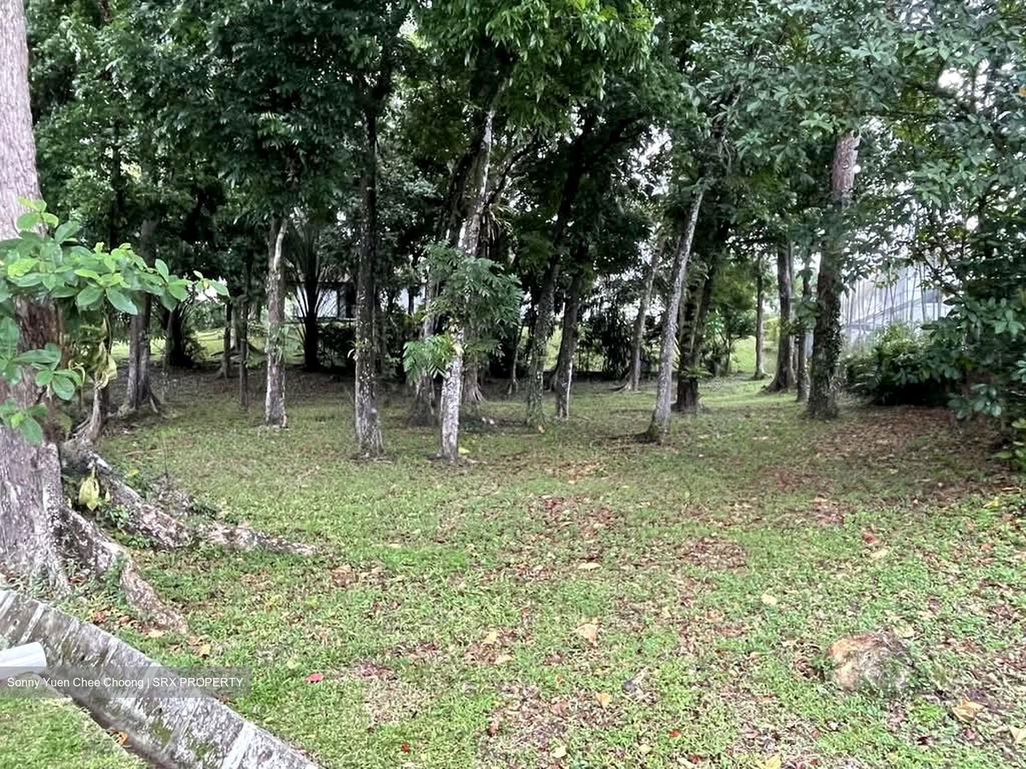 Watten Estate (D11), Detached #566076351